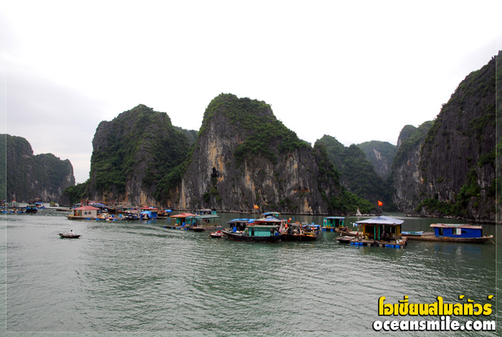 ล่องเรืออ่าวฮาลอง ฮาลองเบย์ ประเทศเวียดนาม