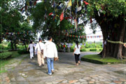 ลุมพินี สังเวชนียสถานลุมพินี