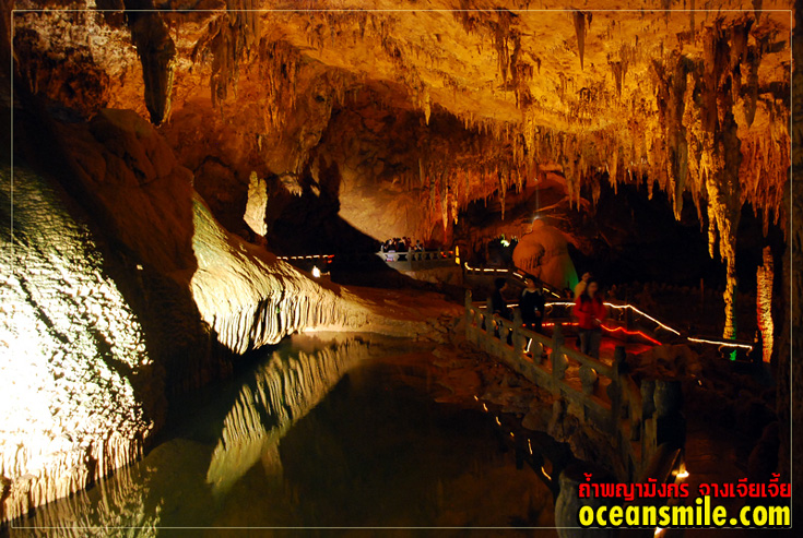 �ٻ��Ӿ���ѧ�� �ҧ�������