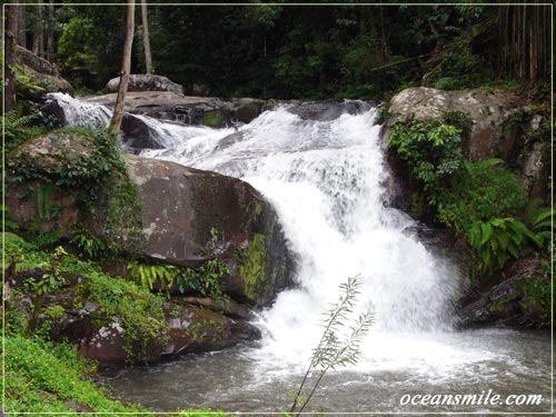 ภูสอยดาว