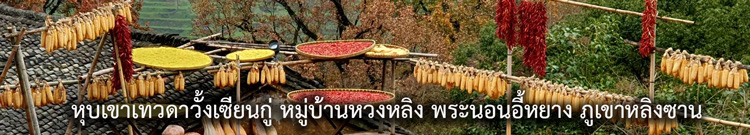 ������غ���Ǵ�