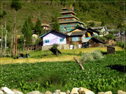 ทัวร์สิกขิม หมู่บ้านลาชุง